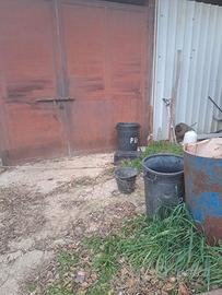 capannone con pannelli coibentati