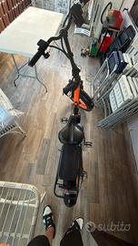 Bicicletta elettrica