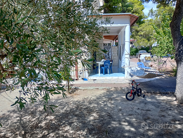 Casa vacanze in pineta a lido silvana