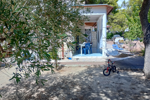 Casa vacanze in pineta a lido silvana