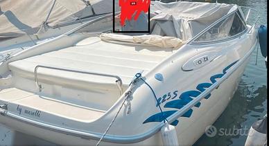 Motoscafo Gobbi 225.S