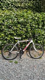 Bici mountain bike