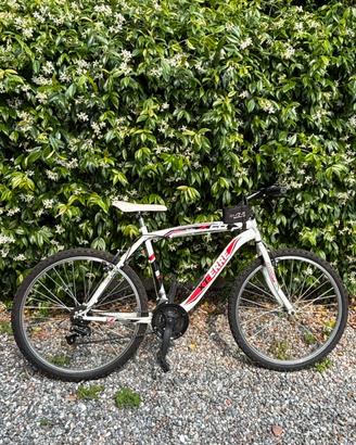 Bici mountain bike