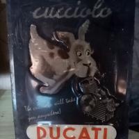 Targa ducati cucciolo