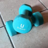 Coppia di manubri 2.5 kg