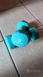Coppia di manubri 2.5 kg
