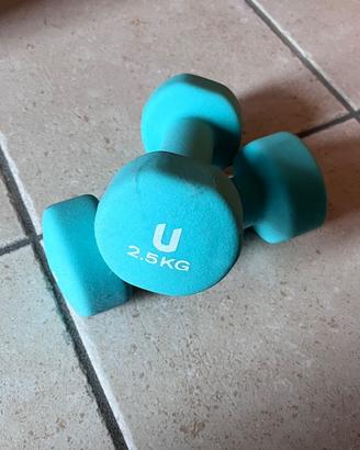 Coppia di manubri 2.5 kg