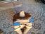 Immagine 1
