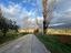 Immagine 17