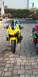 CBR 600 RR 