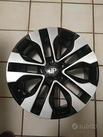 cerchioni x Dr 5.0