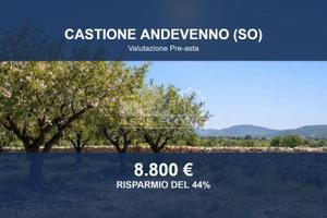 Immobile in asta di 8250 m² a Castione Andevenno