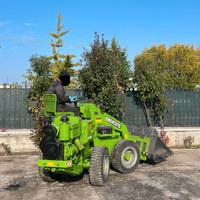 P98 Mini pala 25 q.li snodata