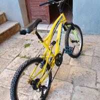 bicicletta usata
