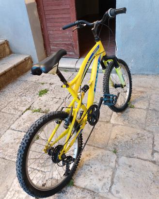 bicicletta usata