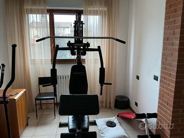 Palestra multifunzione Hammer California