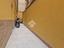 Immagine 12