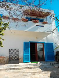 Due appartamenti indipendenti