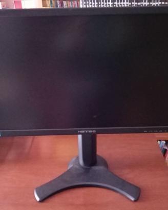 monitor 21 pollici