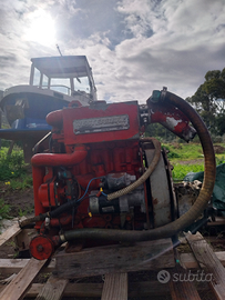 Motore entrobordo 30 CV Diesel
