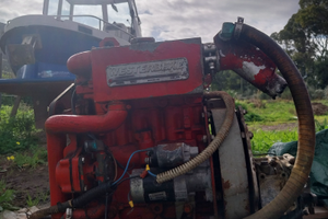 Motore entrobordo 30 CV Diesel