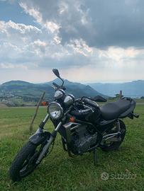 Kawasaki er-5 (2005) A2