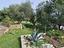 Immagine 11