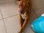 Immagine 6