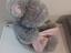 Immagine 3