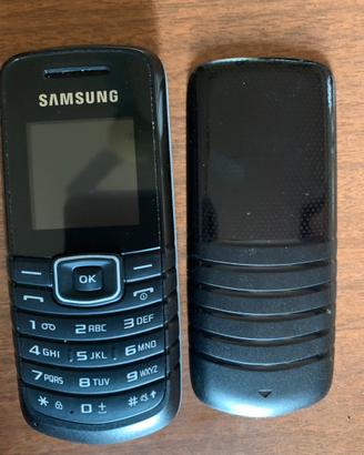 Cellulare Samsung GT-E1080W