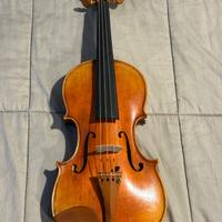 Violino 4/4