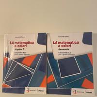 Libri di testo liceo scientifico Pacinotti