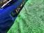 Immagine 7
