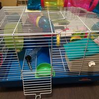 gabbia per criceto