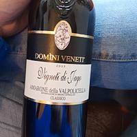 Domìni Veneti Vigneti di Jago Amarone 2005