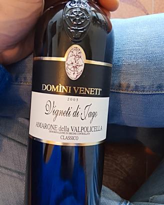 Domìni Veneti Vigneti di Jago Amarone 2005