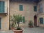 Immagine 6