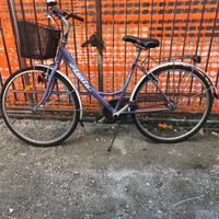 bicicletta da passeggio
