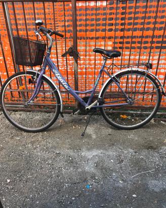 bicicletta da passeggio