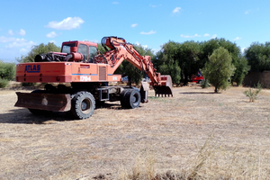 Escavatore gommato Atlas 220 q