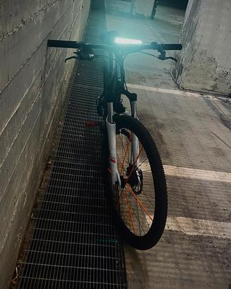 Rockrider 120 (Sport Trail)