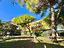 Immagine 10