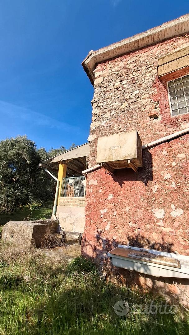 Terreno con uliveto Palombara Sabina - Vista 5