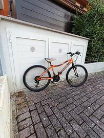Bicicletta 24 pollici universal