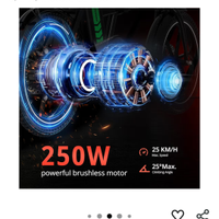 Bicicletta elettrica a pedalata assistita