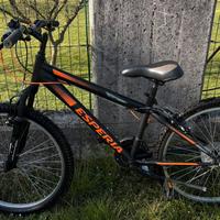 Bicicletta per ragazzi Esperia