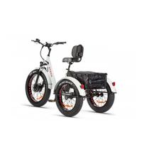 Bici Elettrica Z-Tech Malaga NUOVA - Mai Usata