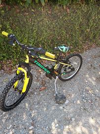 torpado tigre 20