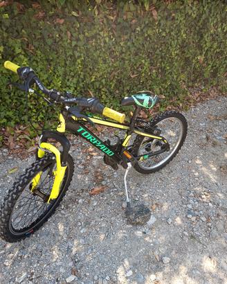 torpado tigre 20