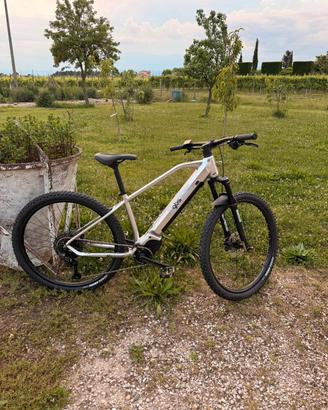 bici elettrica 